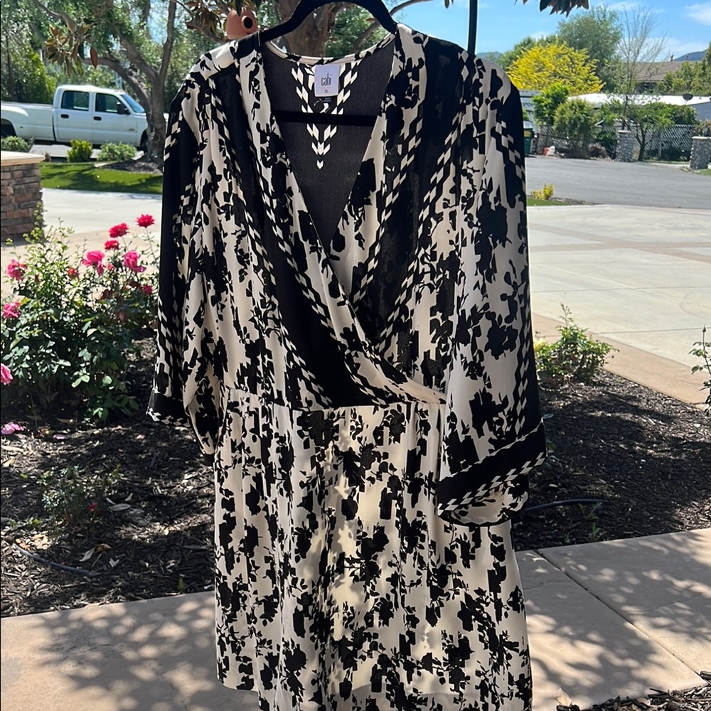 Chic Black and White dress